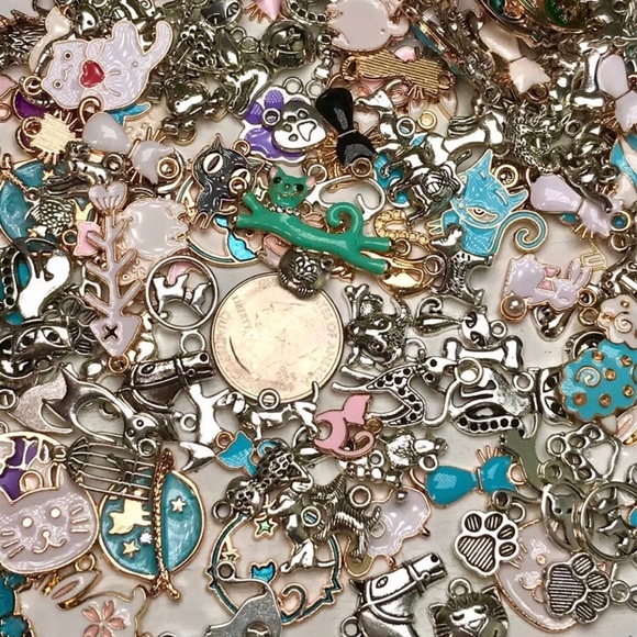 56 PET & Animal CHARMS  Bracelets Keychains Jump Rings DIY Jewelry Making Bundle - Picture 10 of 13